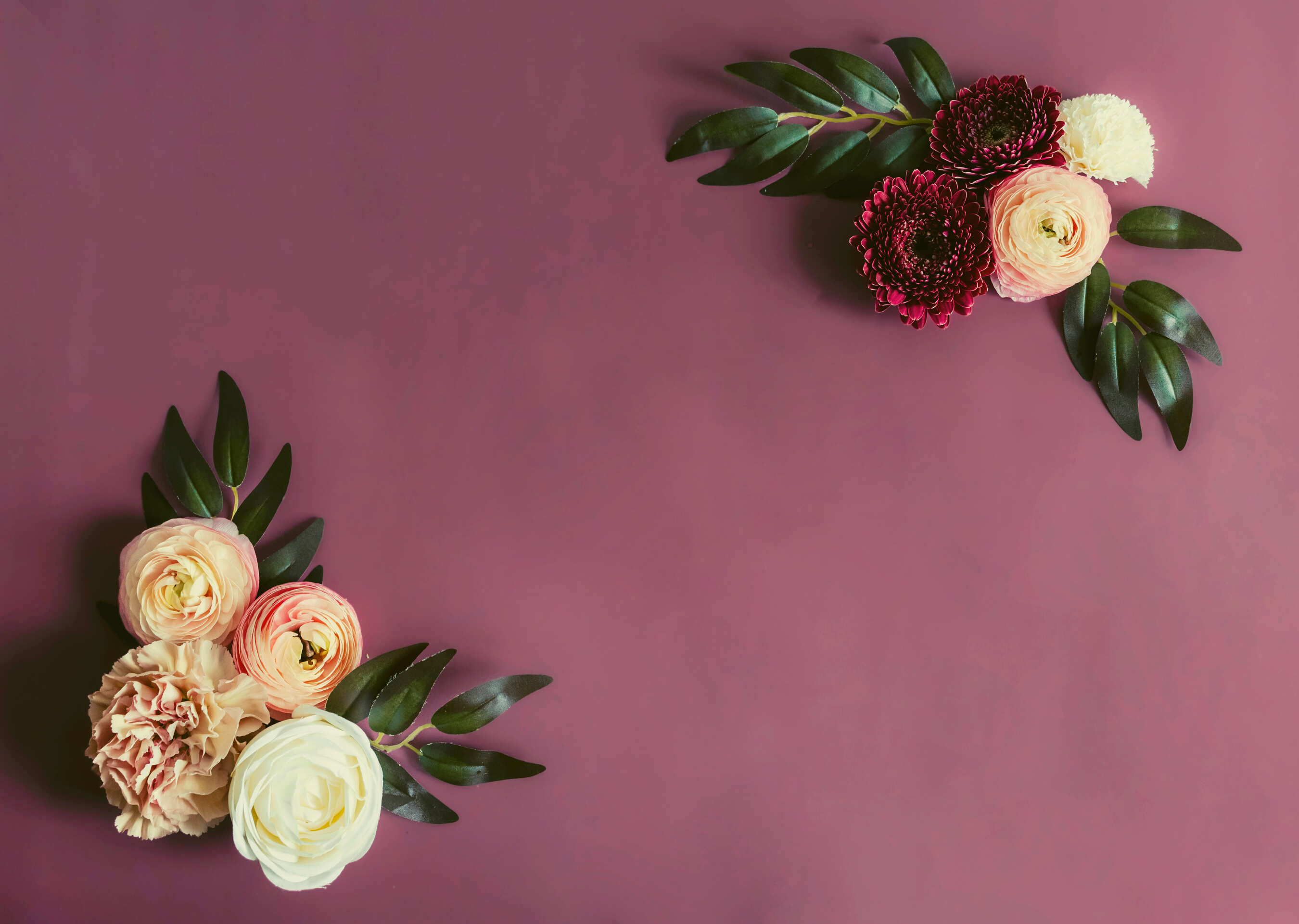 Flower Borders on Dark Purple Background